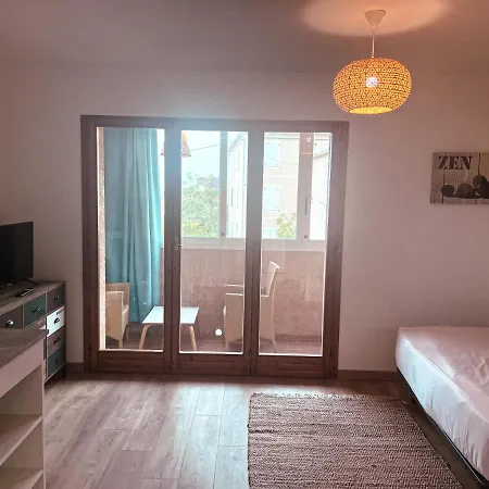 Roncu Apartment